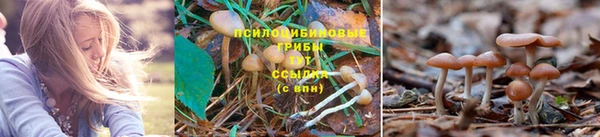 гашишное масло Богородицк
