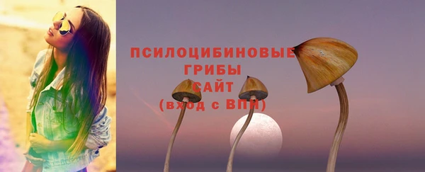 метамфетамин Белокуриха
