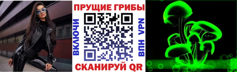 Псилоцибиновые грибы Cubensis  Клинцы 